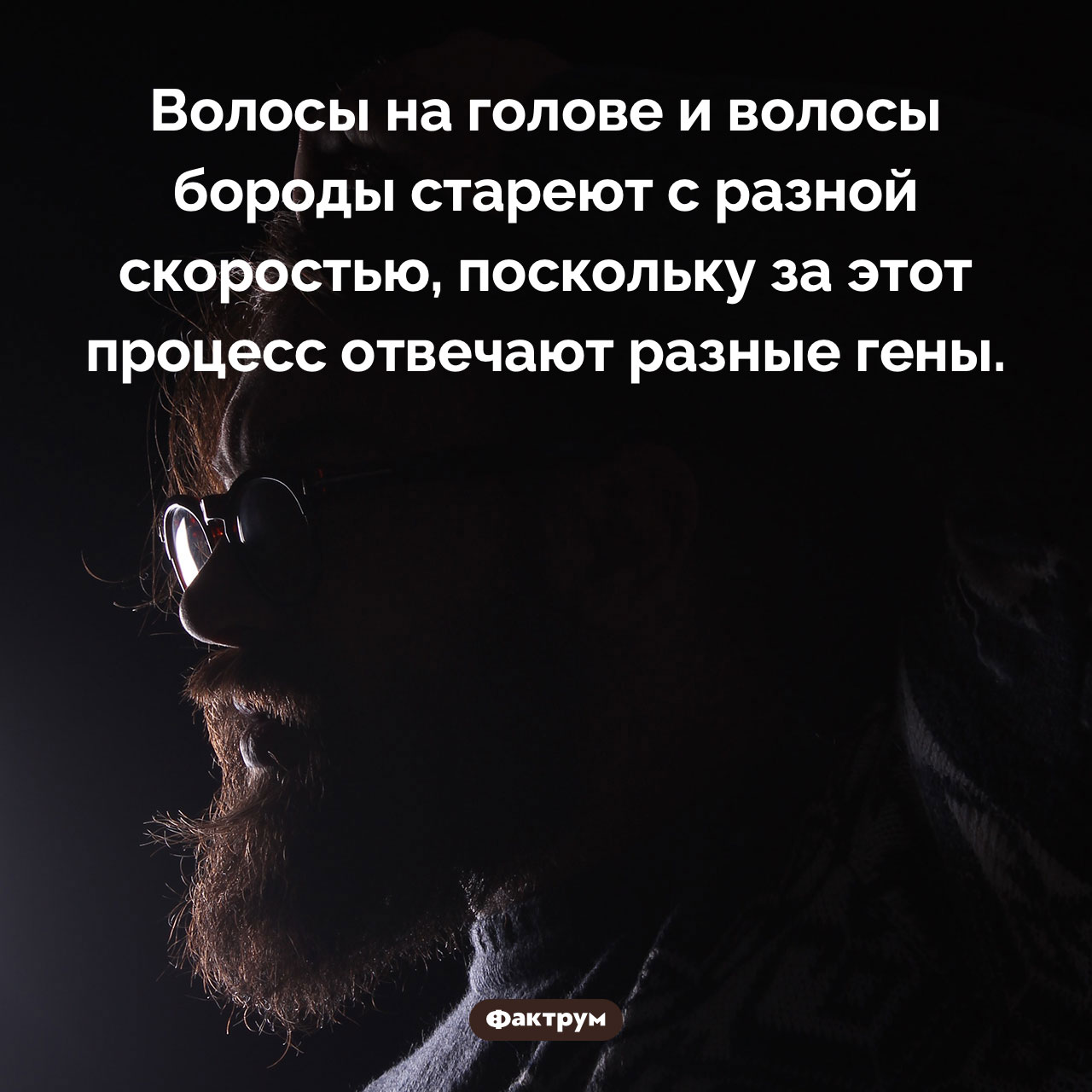 Разные гены волос - свежие новости на Toplenta по теме Наук