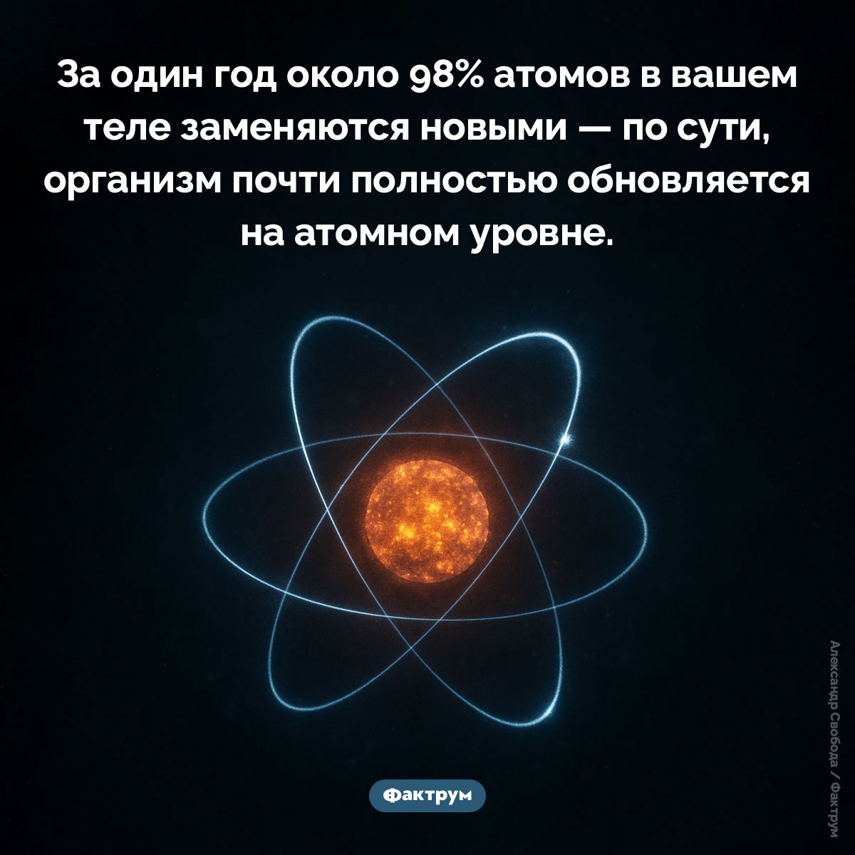 98% атомов, из которых состоит ваше тело, отличаются от тех, что были в прошлом году - свежие новости на Toplenta по теме Наук