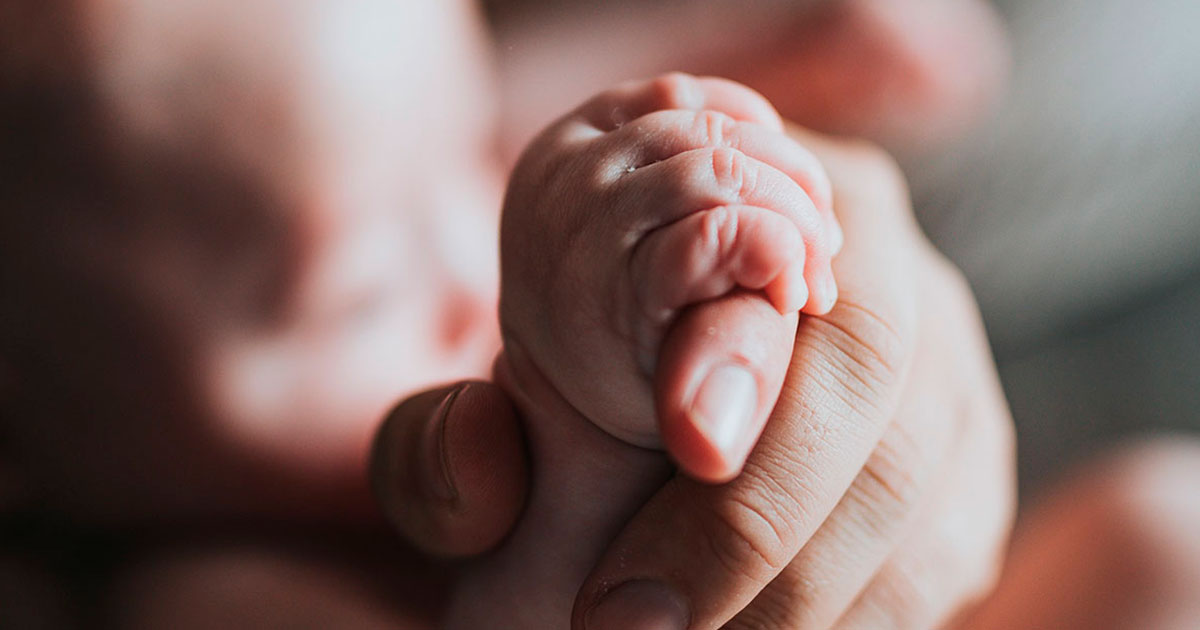 Зачем младенцам хватательный рефлекс - свежие новости на Toplenta по теме Наук