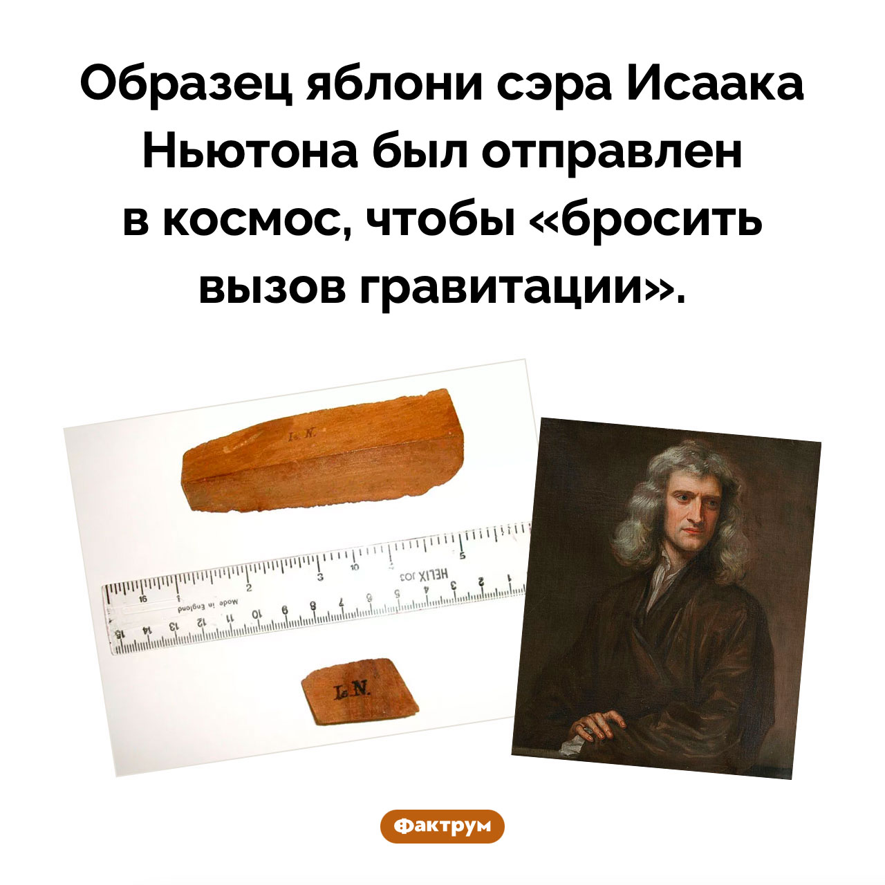 Яблоня Исаака Ньютона в космосе - похожая новость на Toplenta