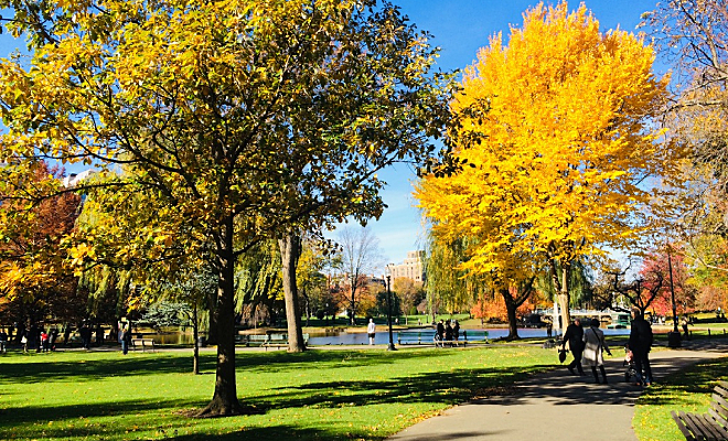 Природный способ замедлить старение: ученые выяснили, что нужно жить в правильном месте - свежие новости на Toplenta по теме Машин