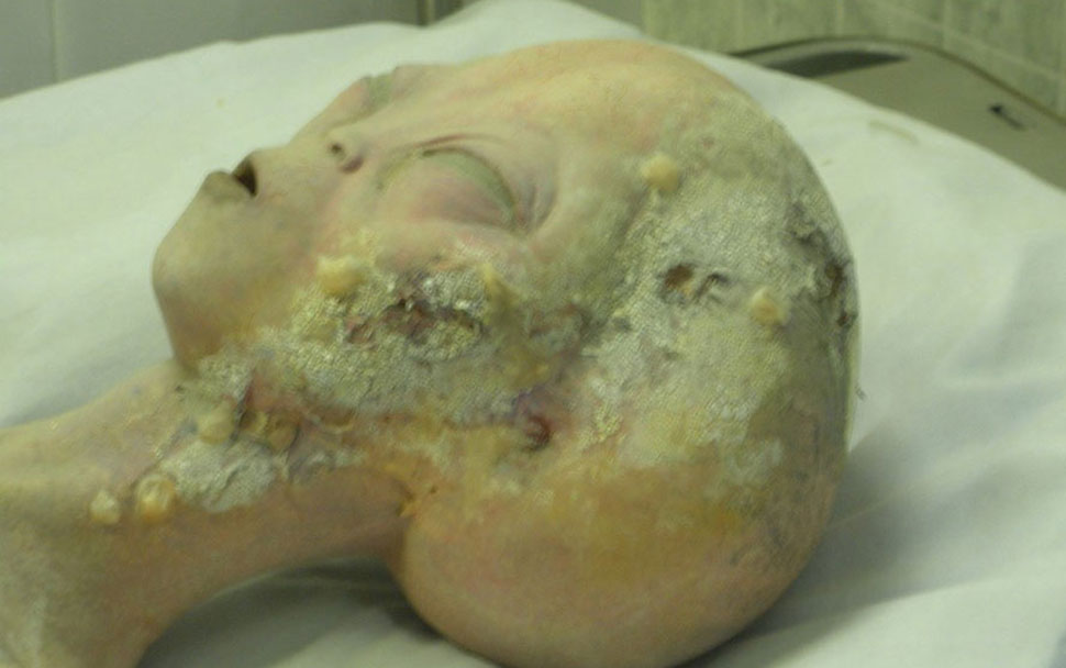 10 научных мистификаций, которые потрясли мир - свежие новости на Toplenta по теме Наук