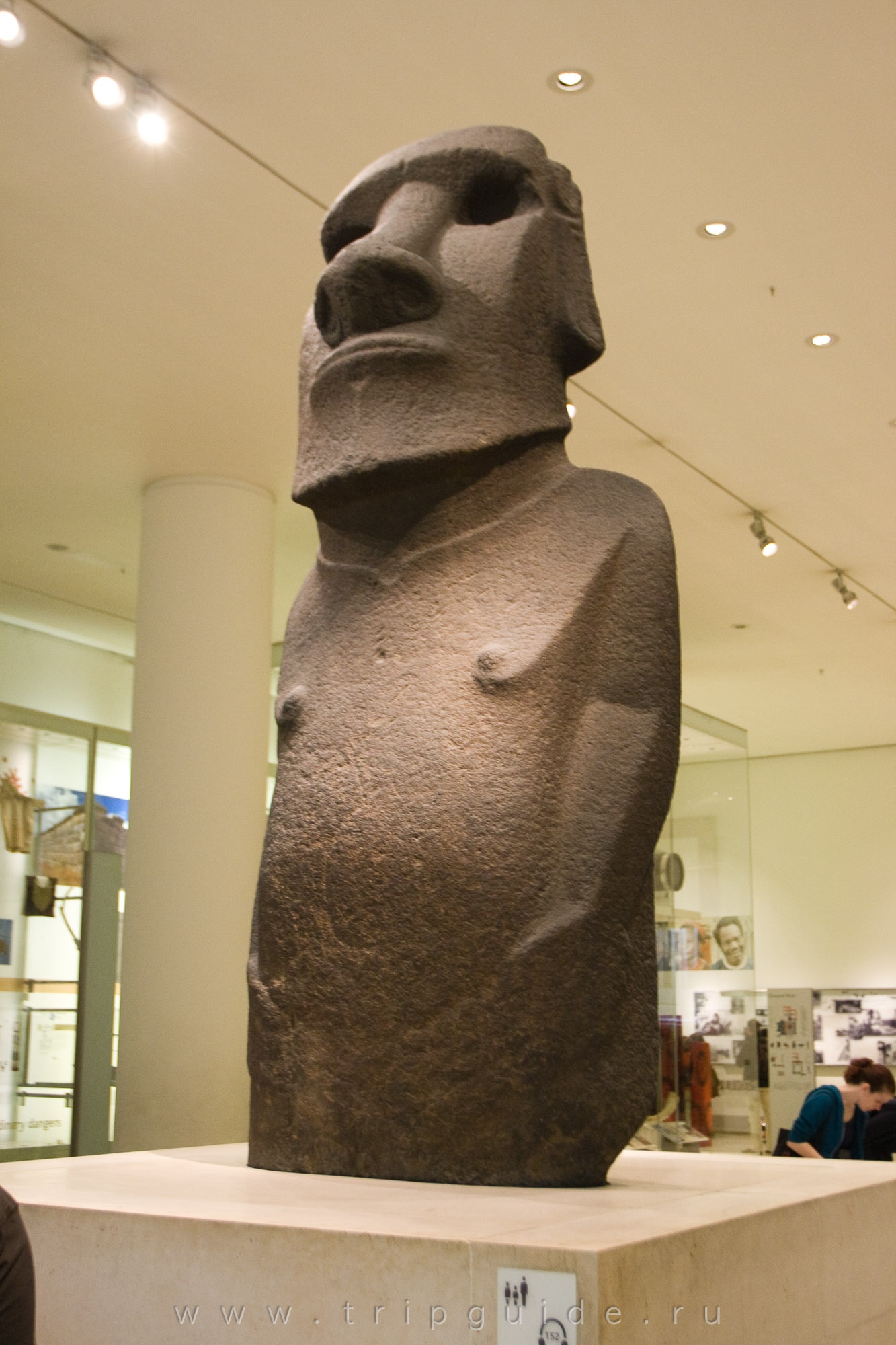 История Британского музея порождает  странные легенды - свежие новости на Toplenta по теме Музеи