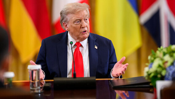 Белый дом объяснил, почему Трамп обозвал журналистку свинкой - свежие новости на Toplenta