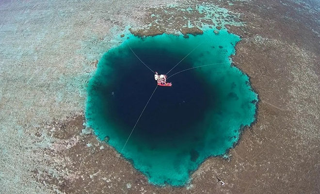 Ученые запустили дрона с веревкой в голубую дыру у берегов Мексики. Троса длиной 500 метров не хватило - свежие новости на Toplenta по теме общество