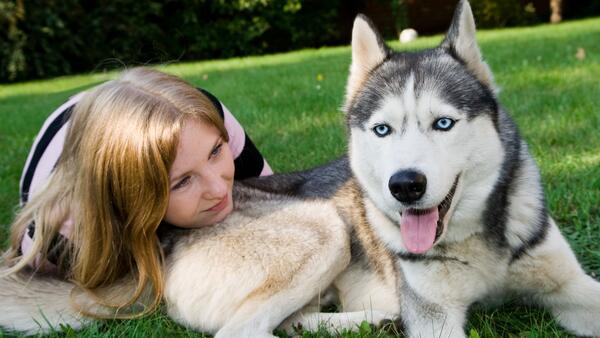 Для тех, кому недостает общения: самые «разговорчивые» породы собак - свежие новости на Toplenta по теме новости дизайна