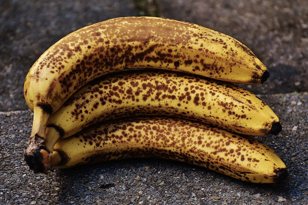 Вторая жизнь подпортившихся продуктов - свежие новости на Toplenta по теме ng