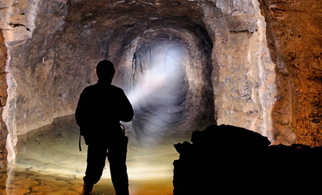 В темной пещере ученые столкнулись с двигающимся растением: оно охотится под землей и в полной темноте: видео - свежие новости на Toplenta