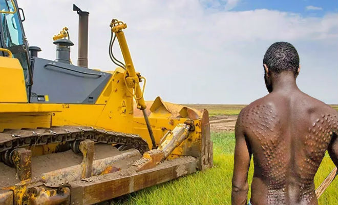 Следы бульдозера до нашей эры - свежие новости на Toplenta по теме Наук