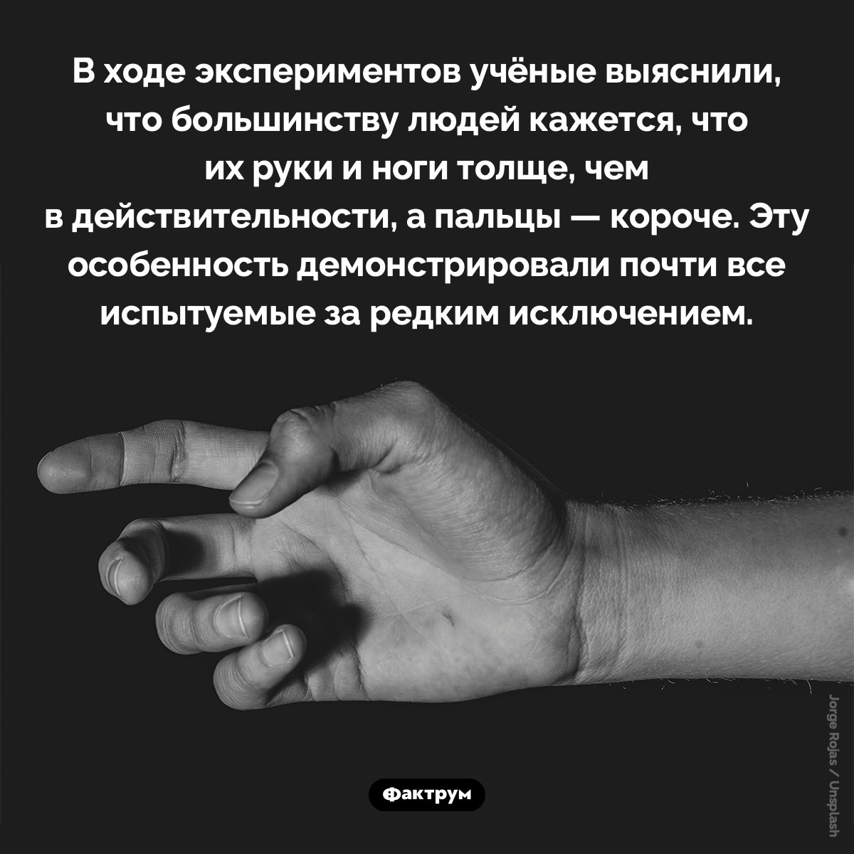 О восприятии людьми своего тела - свежие новости на Toplenta