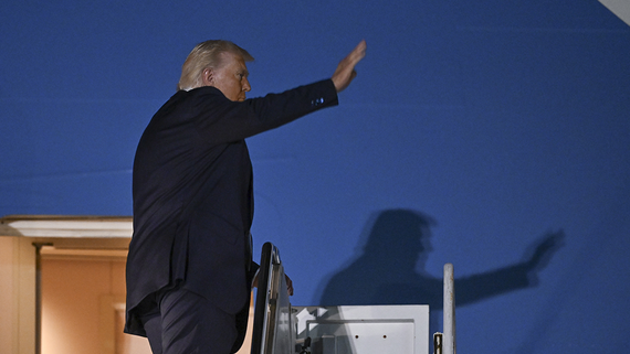 Трамп фразой «тихо, свинка» ответил журналистке на вопрос об Эпштейне - Наука на Toplenta