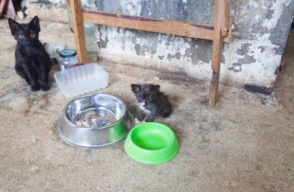 Грязные тайны наших соседей - свежие новости на Toplenta