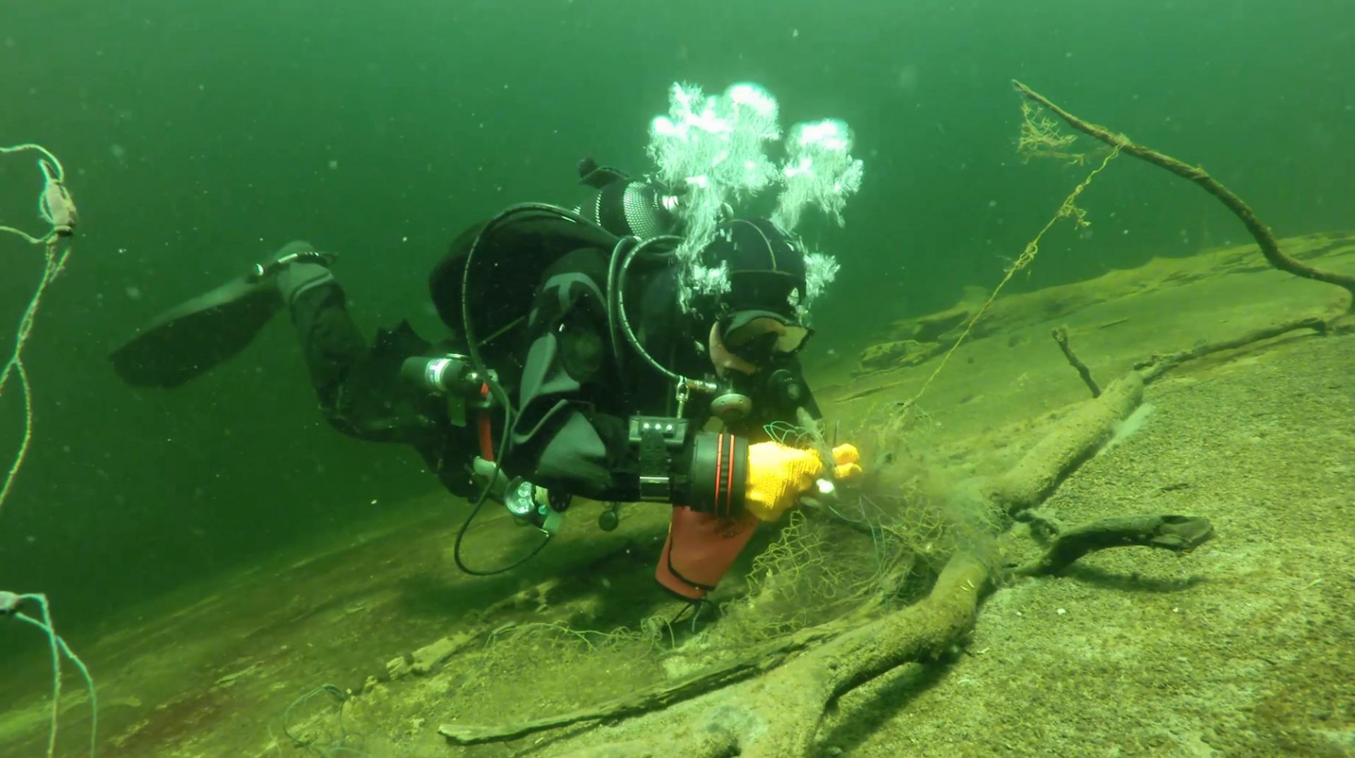 Тайны Телецкого озера - свежие новости на Toplenta по теме интересные идеи