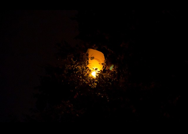 «Заблудший» огонек - свежие новости на Toplenta