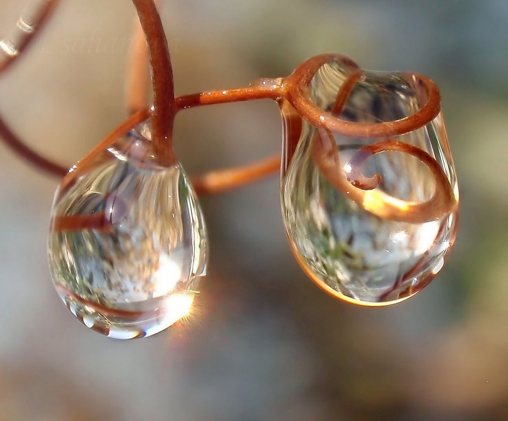 Слёзы женских Знаков Зодиака - похожая новость на Toplenta