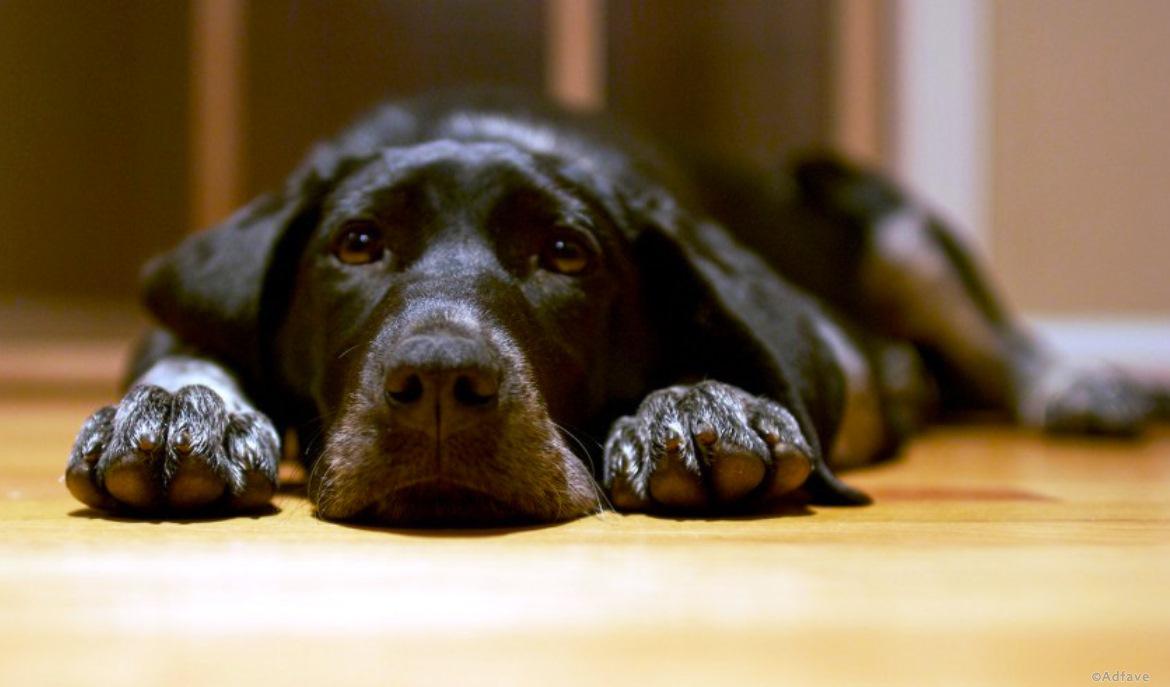 Я на ней женюсь - свежие новости на Toplenta