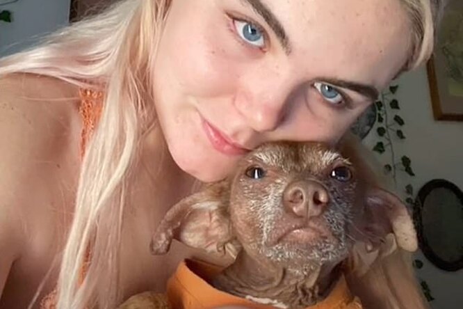 «Вы изменили мир»: девушка подобрала лысую собаку, и теперь её не узнать - свежие новости на Toplenta