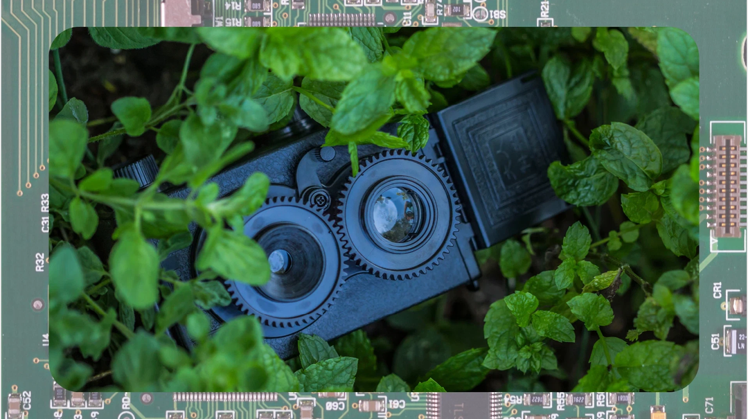 3 способа обнаружить скрытую камеру с помощью смартфона - свежие новости на Toplenta по теме она