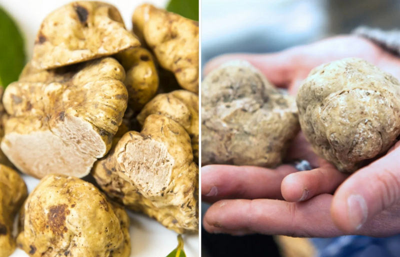 15 самых дорогих предметов в мире - свежие новости на Toplenta