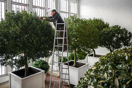 13 апреля: какой праздник отмечают в России и мире - свежие новости на Toplenta по теме Россия24