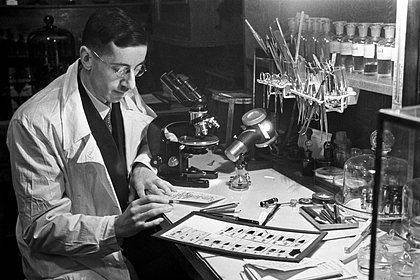 21 апреля: какой праздник отмечают в России и мире - свежие новости на Toplenta по теме Россия24