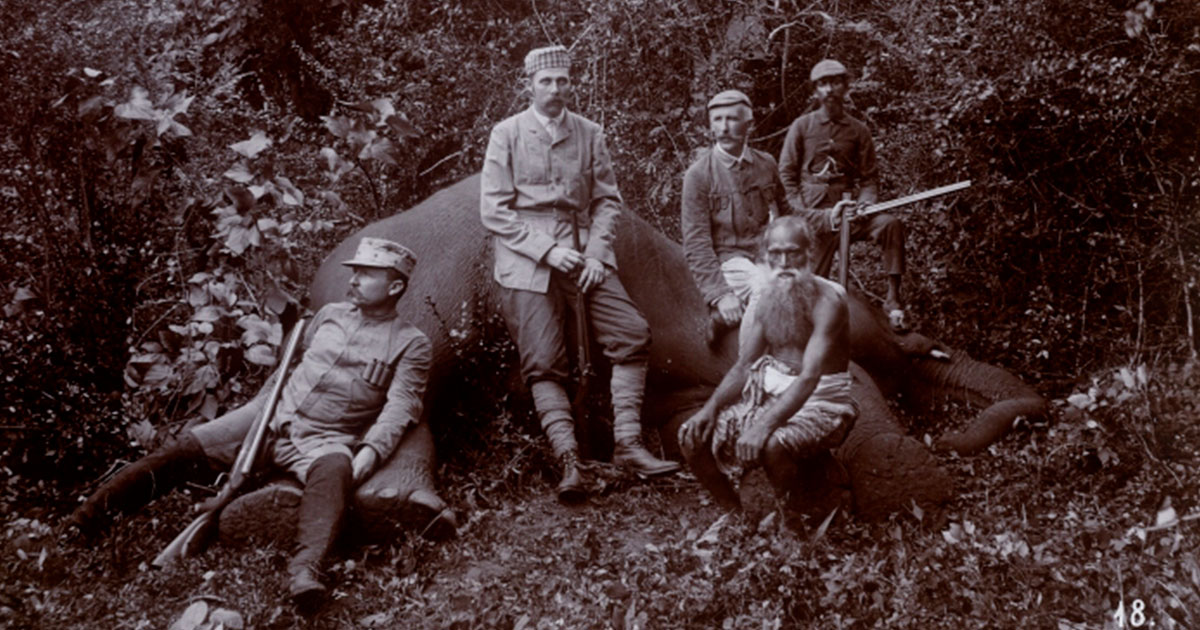 Франц Фердинанд за свою жизнь лишил жизни сотни тысяч животных - свежие новости на Toplenta по теме Известны