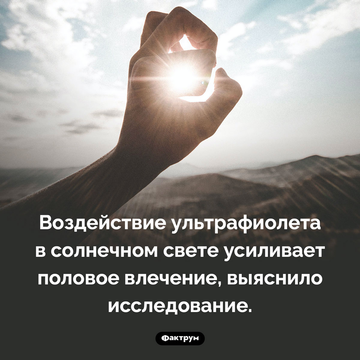 Солнечный свет повышает влечение - свежие новости на Toplenta по теме Факты в картинках