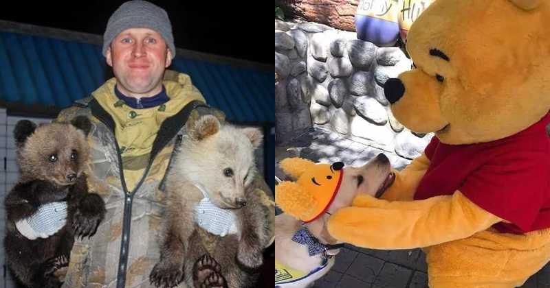 22 поразительные истории о доброте - свежие новости на Toplenta по теме Суда