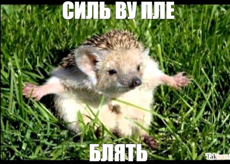 Для дурака мир полон внезапных чудес - свежие новости на Toplenta