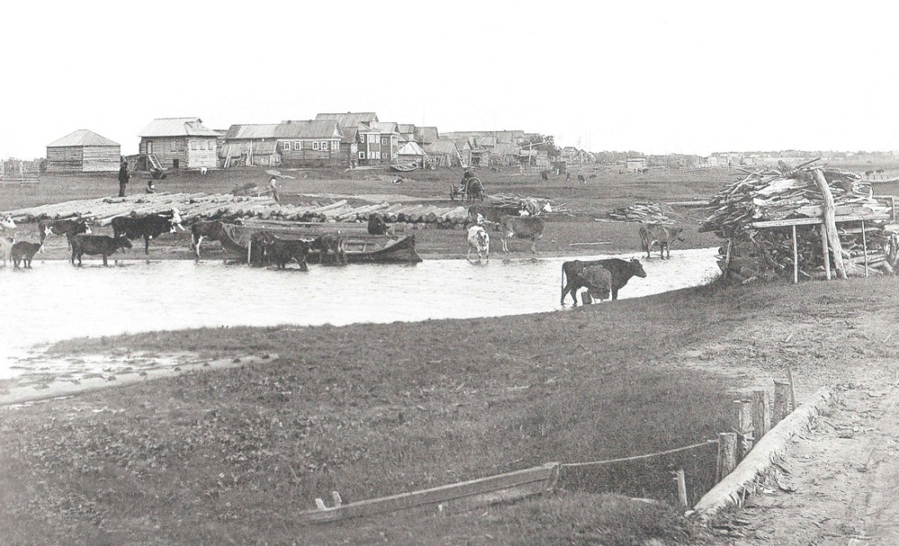 «Собственные средствия» в Пустозёрском уезде Архангелогородской губернии - свежие новости на Toplenta по теме Даль