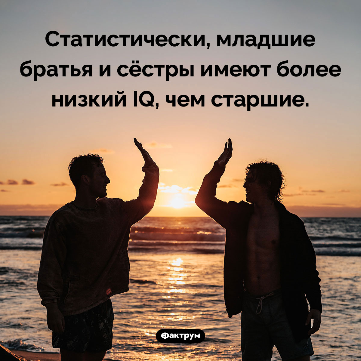 IQ младших братьев и систер - свежие новости на Toplenta по теме Факты в картинках