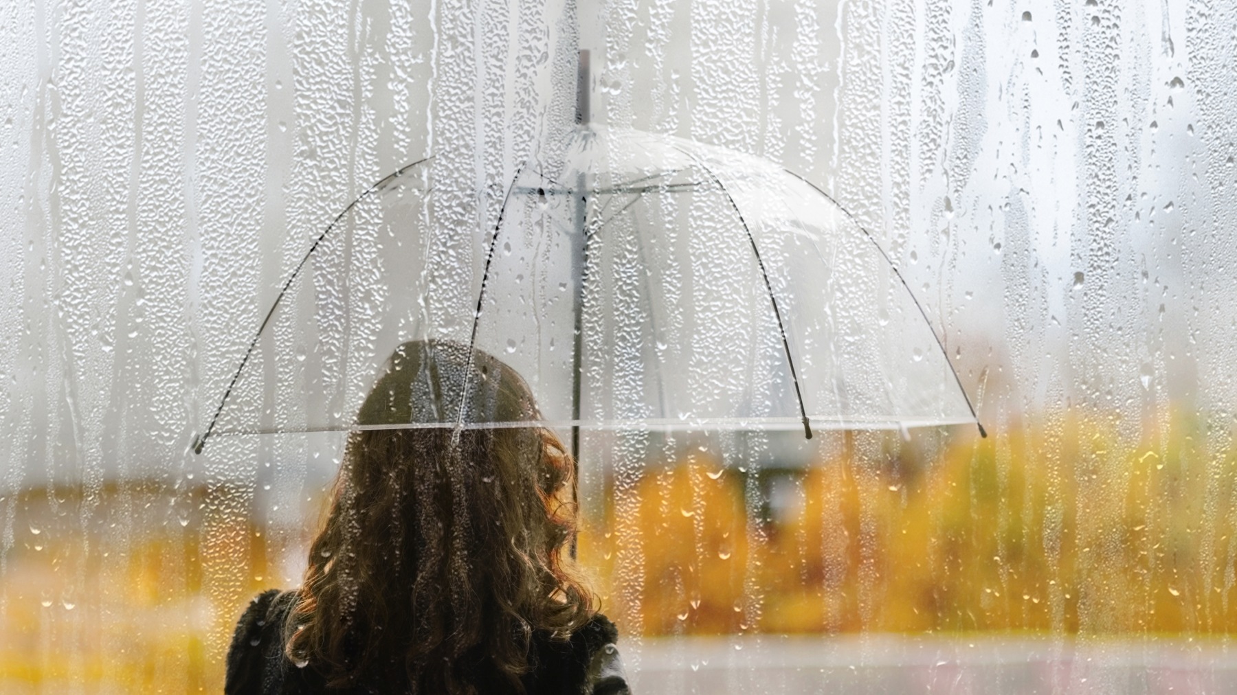 «Люди без внутреннего сияния»: терапевтичный роман о поиске своего места в жизни - свежие новости на Toplenta по теме Orb