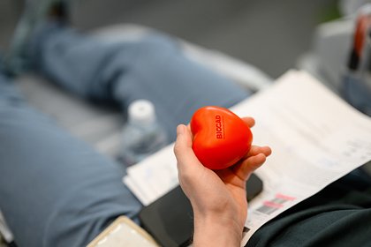 У россиян узнали о готовности быть донором для пациентов с гемофилией - свежие новости на Toplenta по теме Экономика