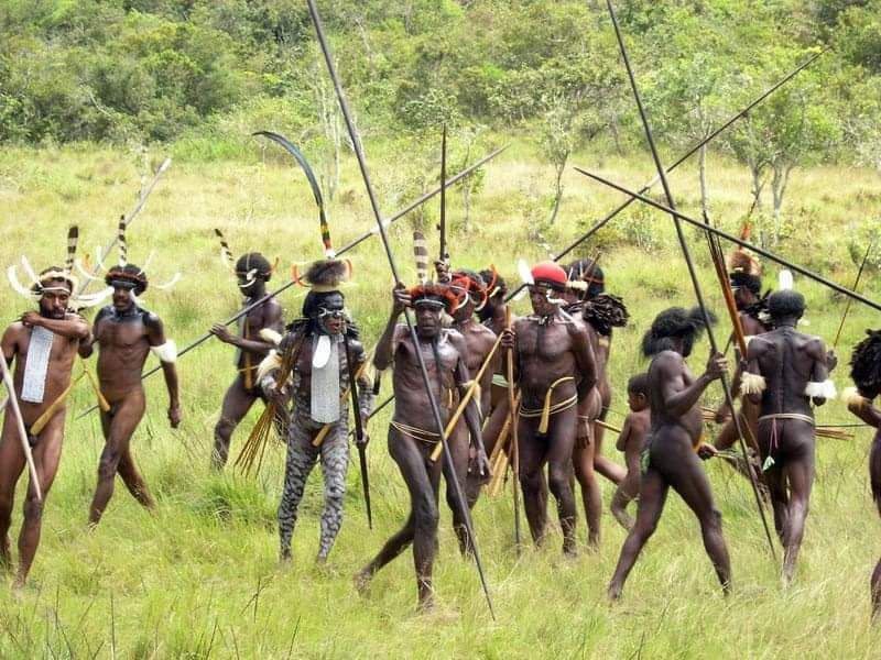 Про беззаботную жизнь племени каннибалов в индонезийской провинции Папуа - свежие новости на Toplenta по теме Капитал