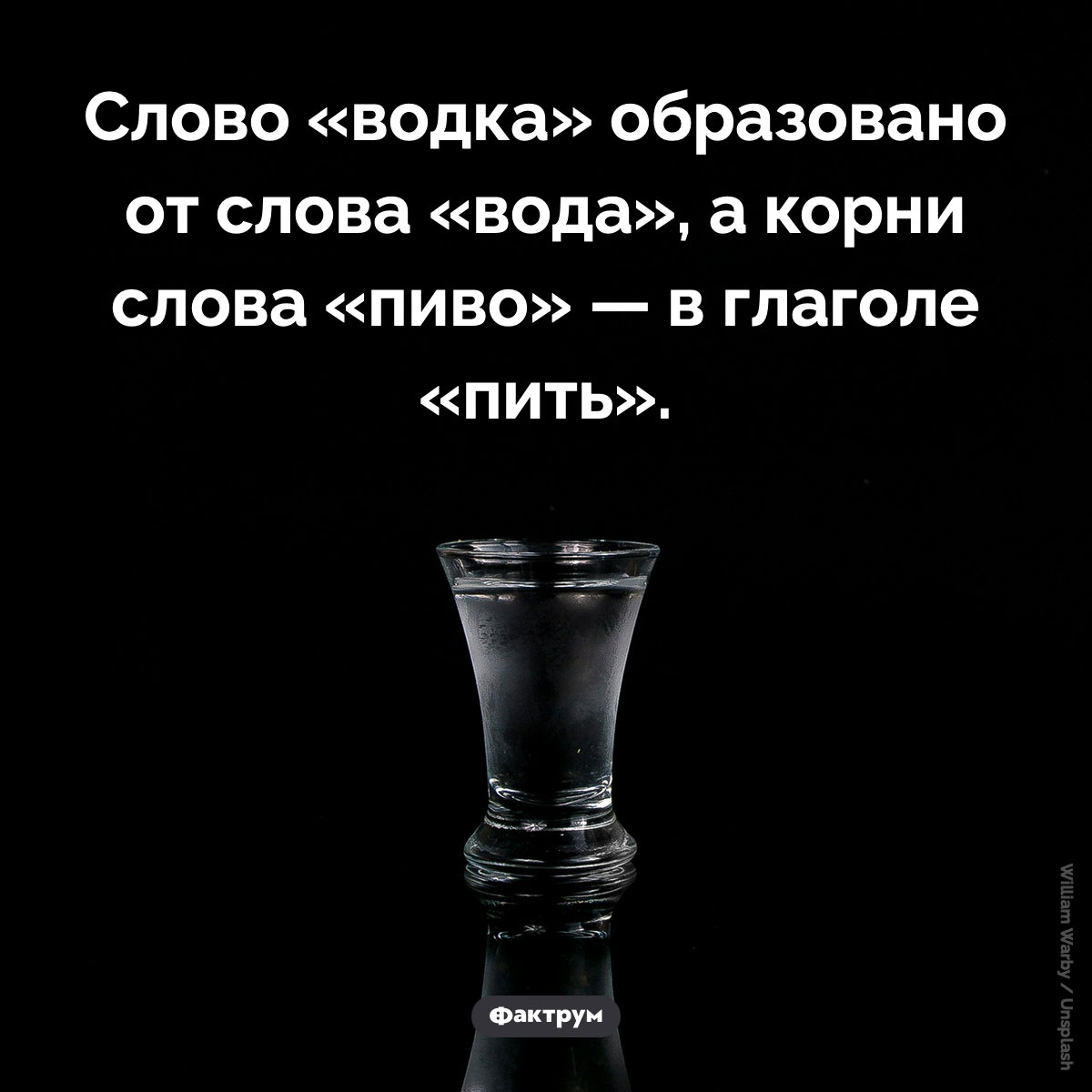 Слова «водка» и «пиво» связаны с водой и питьём - свежие новости на Toplenta по теме Современная россия