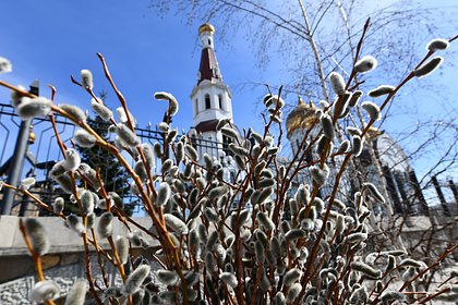 Вербное воскресенье в 2025 году: смысл и традиции православного праздника - свежие новости на Toplenta по теме Россия24