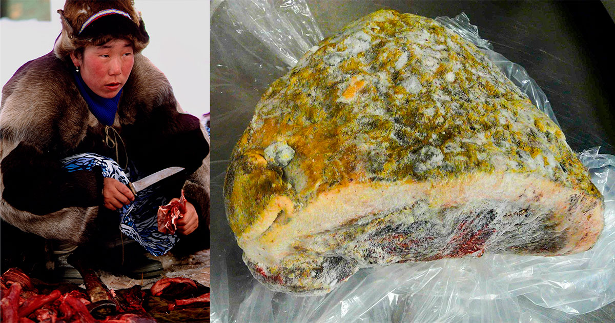 Почему деликатес чукчей нельзя есть обычным людям - свежие новости на Toplenta по теме МИР