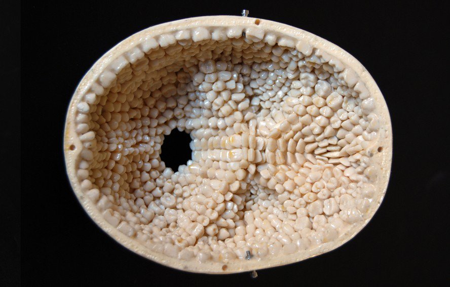 5 жутких историй, которые пробудят ваши самые странные страхи - свежие новости на Toplenta по теме случай