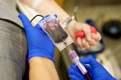 20 апреля: какой праздник отмечают в России и мире - свежие новости на Toplenta по теме Россия24