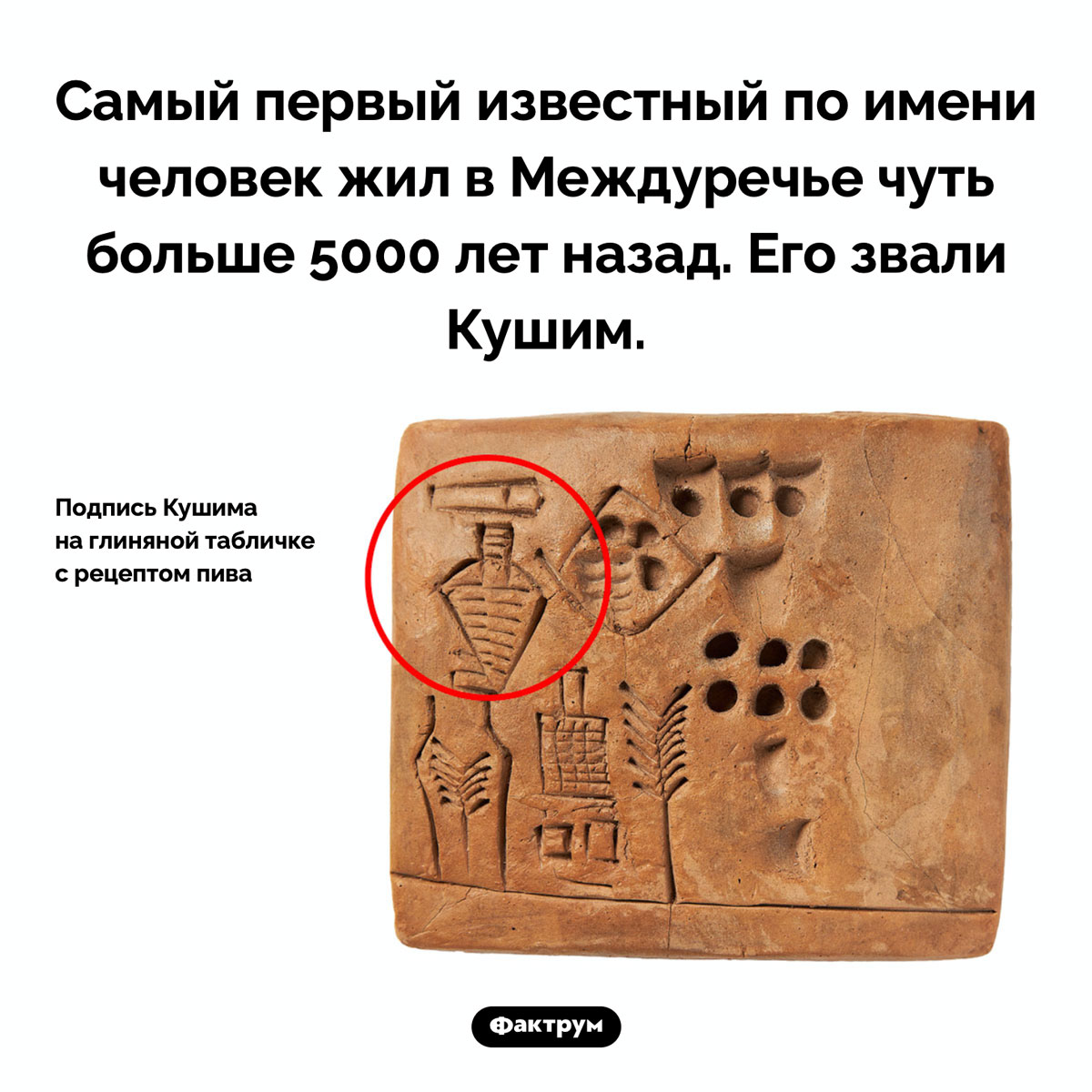 Первый известный по имени человек - свежие новости на Toplenta по теме Наук