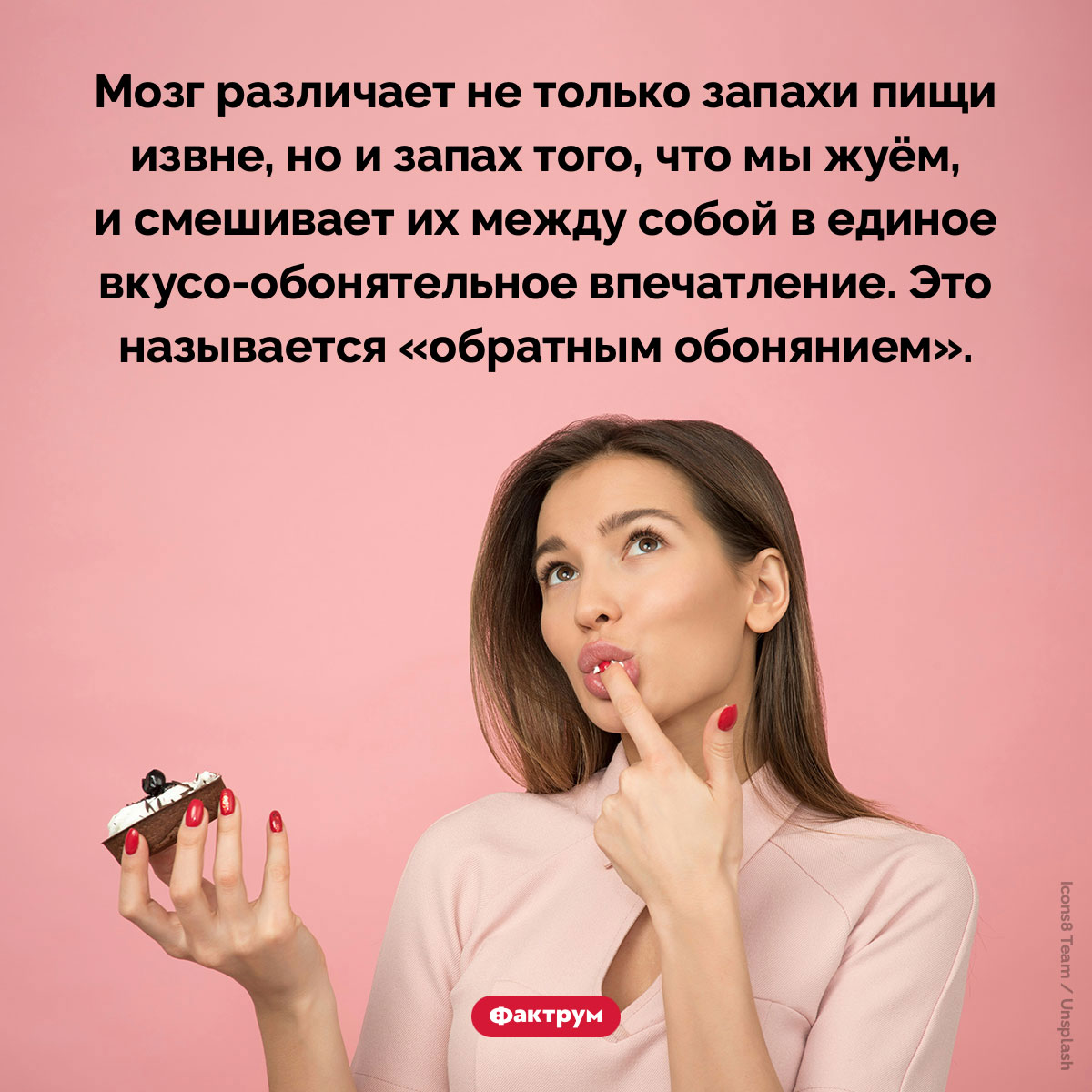 Мозг формирует вкус на основе запахов извне и изнутри - свежие новости на Toplenta по теме Факты в картинках