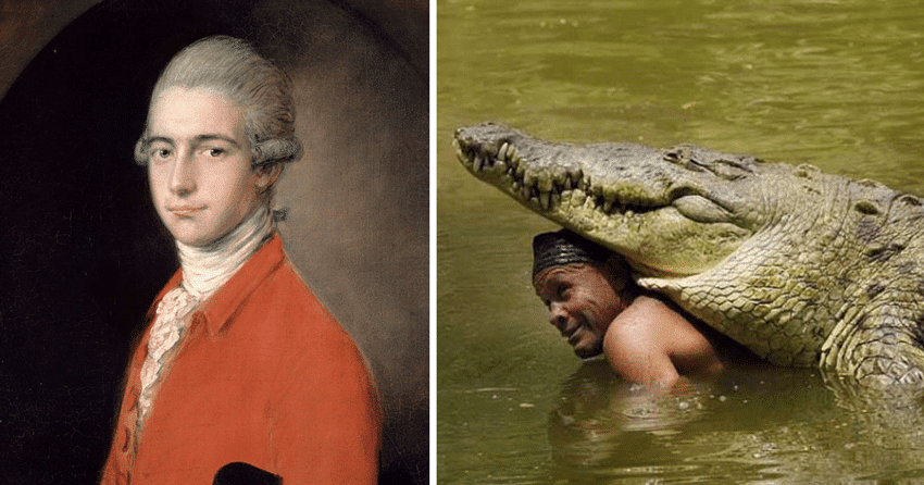 Сегодня я узнал: 30 интересных фактов для самых любознательных - свежие новости на Toplenta по теме под