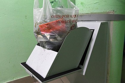 В Ленобласти назвали сумму выплаченных штрафов за нарушение правил обращения с отходами - свежие новости на Toplenta по теме Россия24