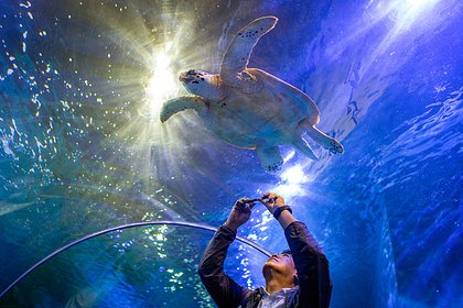 23 мая: какой праздник отмечают в России и мире - свежие новости на Toplenta по теме Россия24