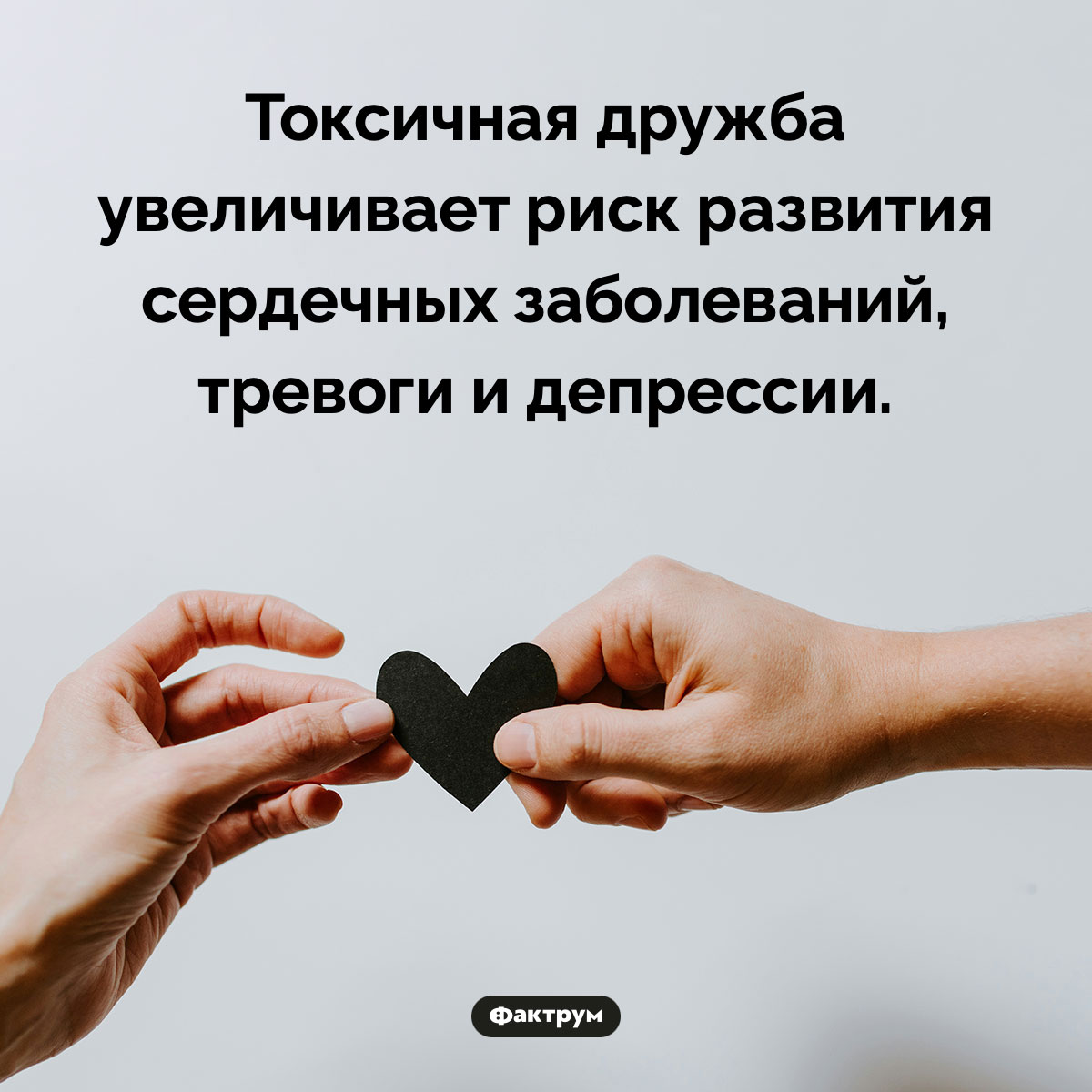 Влияние токсичной дружбы на здоровье - свежие новости на Toplenta по теме Психологи