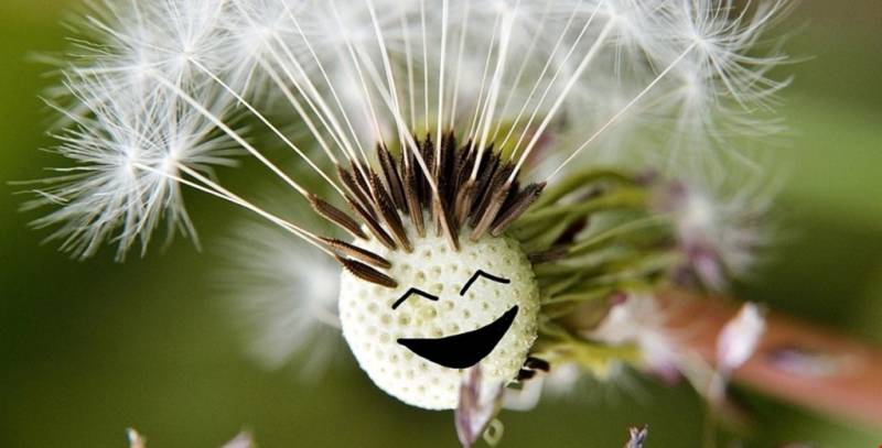 Церковный и народный праздник Проклов день отмечается в 2025 году 4 мая - свежие новости на Toplenta по теме Культура и общество  /  Соцпортал