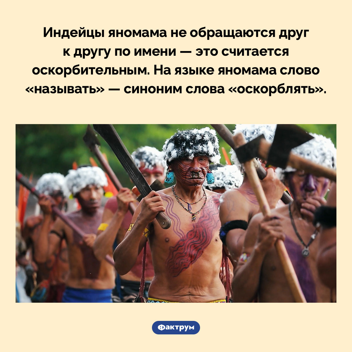 Почему яномама не называют друг друга по имени - свежие новости на Toplenta по теме Факты в картинках