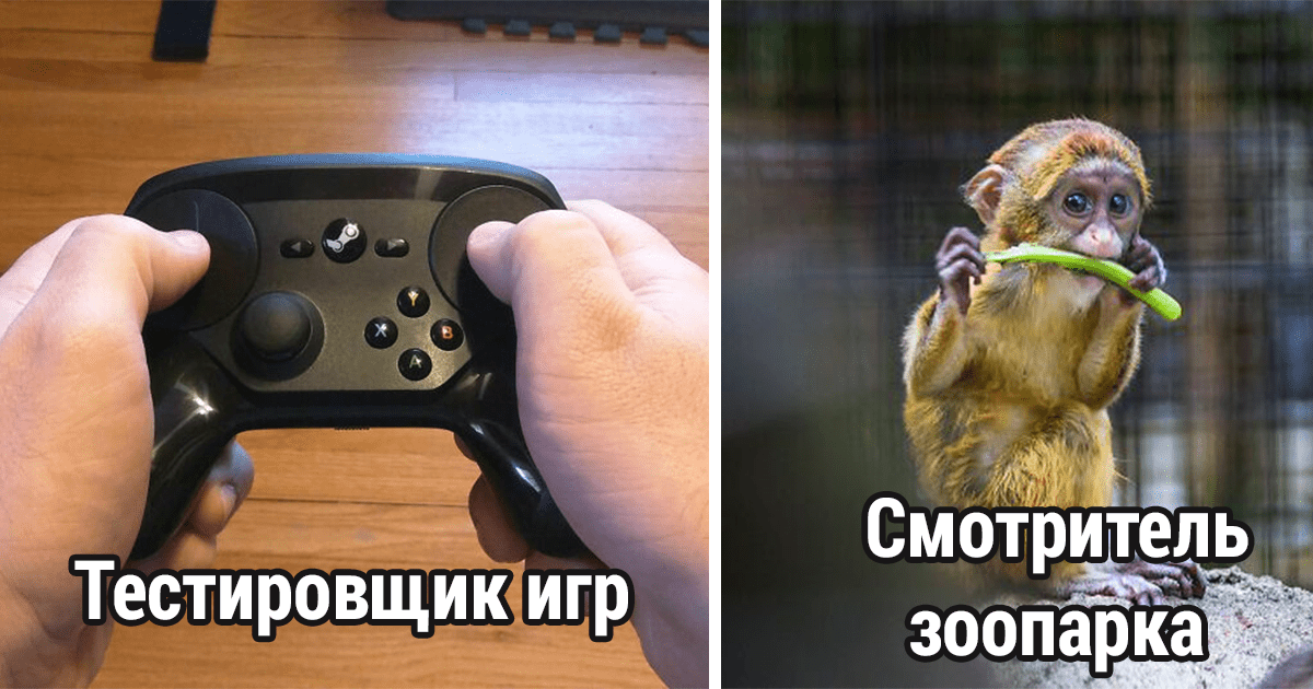 28 профессий, которые не такие классные, как все думают - свежие новости на Toplenta по теме Профессии