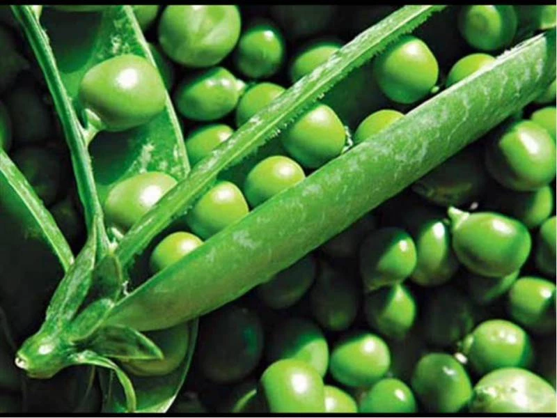 Какой церковный праздник отмечают православные верующие 9 мая 2025 года - свежие новости на Toplenta по теме Культура и общество  /  Соцпортал