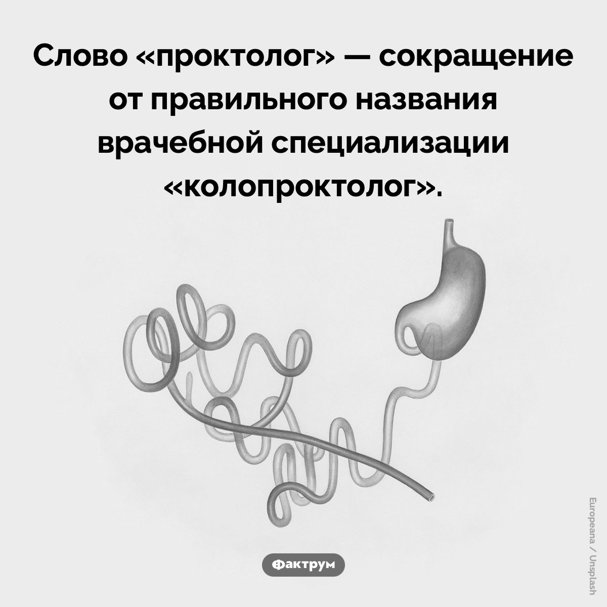 Профессии «проктолог» не существует - свежие новости на Toplenta по теме названия